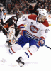 3667.gif