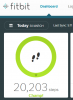 Fitbit 30 March.png