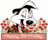 picgifs-happy-birthday-0714281.gif