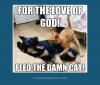 cat-biting-dog-funny_zpsa9c9b3f5.jpg