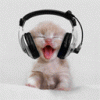 cat-headphones-smiley-emoticon.gif cat-headphones-smiley-emoticon.gif