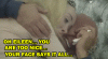 LIAR4.gif