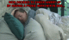 N2.gif