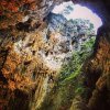 Tim Caves3.jpg