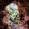 Tim Caves 5.jpg
