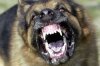 upload_2015-8-29_1-47-22.jpeg