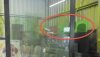 519000 LOT 535 Annot.jpg
