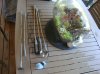 DSC00685.JPG