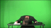 Untitled-3.gif