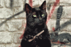 cat-1.gif