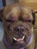 Rosie After.jpg