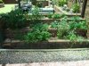 DSC00721.JPG