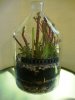 DSC00776.JPG