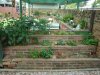 DSC00801.JPG