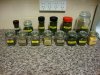 DSC00821.JPG