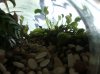 DSC00887.JPG