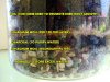DSC00790.jpg