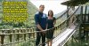 ROPE BRIDGE CUT.jpg