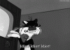 idiot.gif
