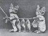CATS.jpg