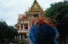 IMG_20160627_141044.jpg