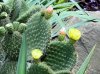 upload_2016-7-3_20-24-50.jpeg