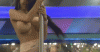 c2.gif c2.gif