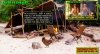 what we don't see -1.jpg