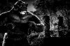 kingkong-120805-9.jpg