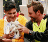 bunny-love....gif