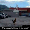 1543490971771.png