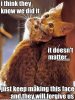 cats.jpg