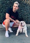 sam-dog.jpg
