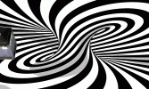 1629783989307.gif