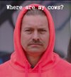 Dave - where are my cows..jpg
