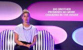 no chickensfinished.jpg