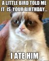 Happy Birthday Genelle Lol Cat.jpg