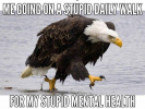 1656668994613.png