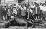 8C24A096-92D1-454A-B5F3-C85248908B6A.gif