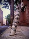 Untitled-4.jpg