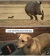 IMG_7050.jpeg