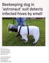 Untitled-1.jpg