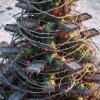 IMG_0328.jpeg