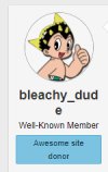 bleachy.jpg