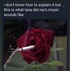 IMG_3274.jpeg
