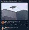RANDOMJPG.jpg