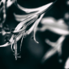 1743127137108.png 1743127137108.png