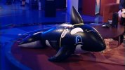 VS--YouTube-BigBrotherAustraliaSeason1Marathon-816’22”.jpg