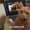 RANDOMJPG.webp