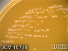 1755569773493.png